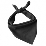 Bandana 52